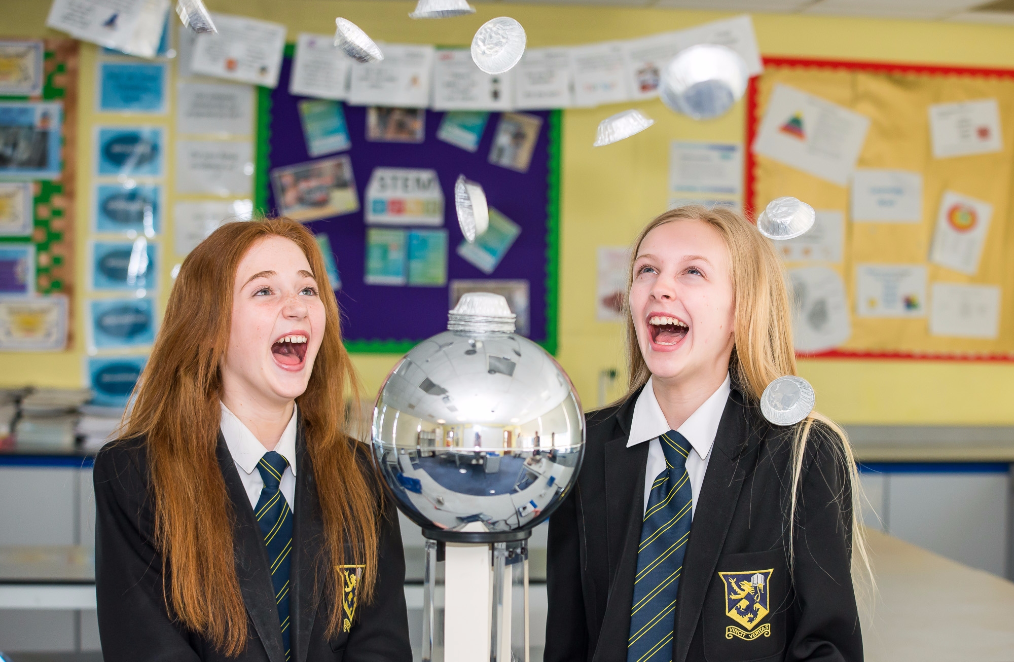 Fort purbrook picture