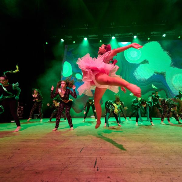 ZFULLVernonNashDL2024S0485444