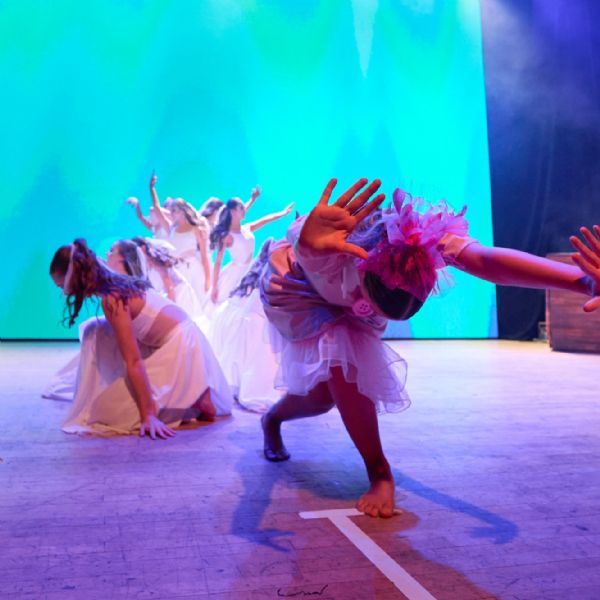 ZFULLVernonNashDL2024S0485577